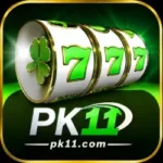 PK11 GAME APK